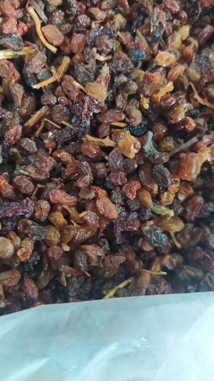 کشمش بیدانه سرکه ای|خوردنی و آشامیدنی|تاکستان, |دیوار