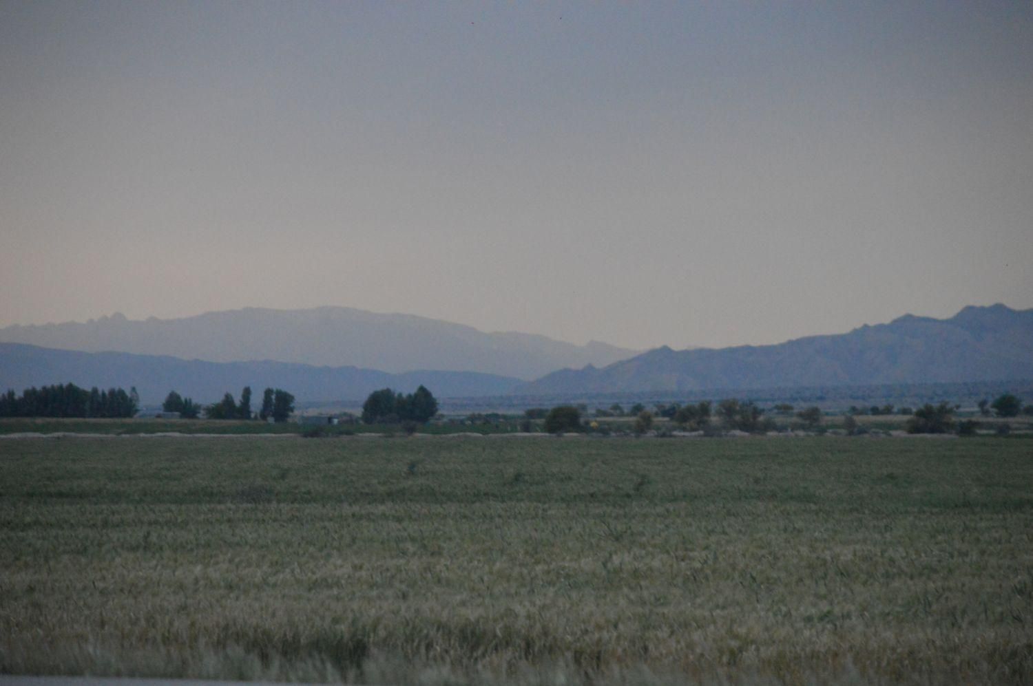 فروش و اجاره ده هکتار|فروش دفتر صنعتی، کشاورزی، تجاری|دهرم, |دیوار