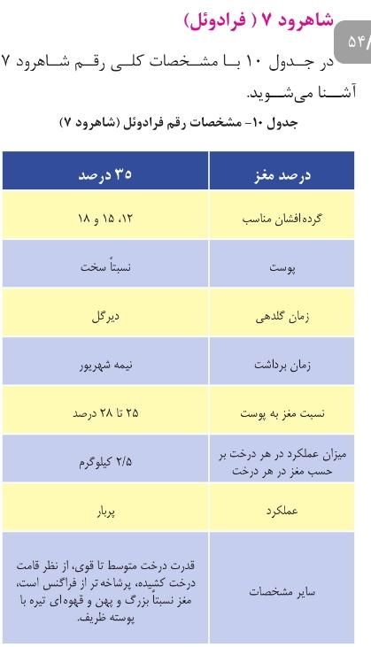 نهال بادام  شاهرودی دیم، فرانیس و تونو، سوپرنوا|خدمات باغبانی و درختکاری|شیراز, تاچارا|دیوار