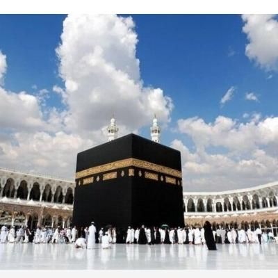 فیش حج عمره الویت 578|تور و چارتر|تهران, بریانک|دیوار