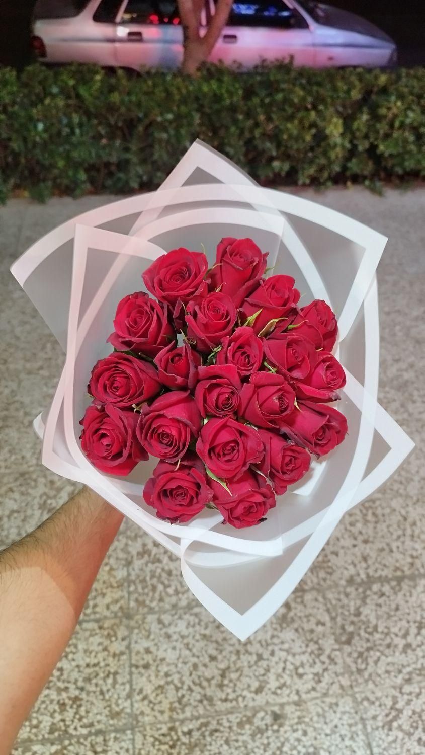 ۲۰شاخه گل رز هلندی|گل و گیاه طبیعی|مشهد, دانشجو|دیوار