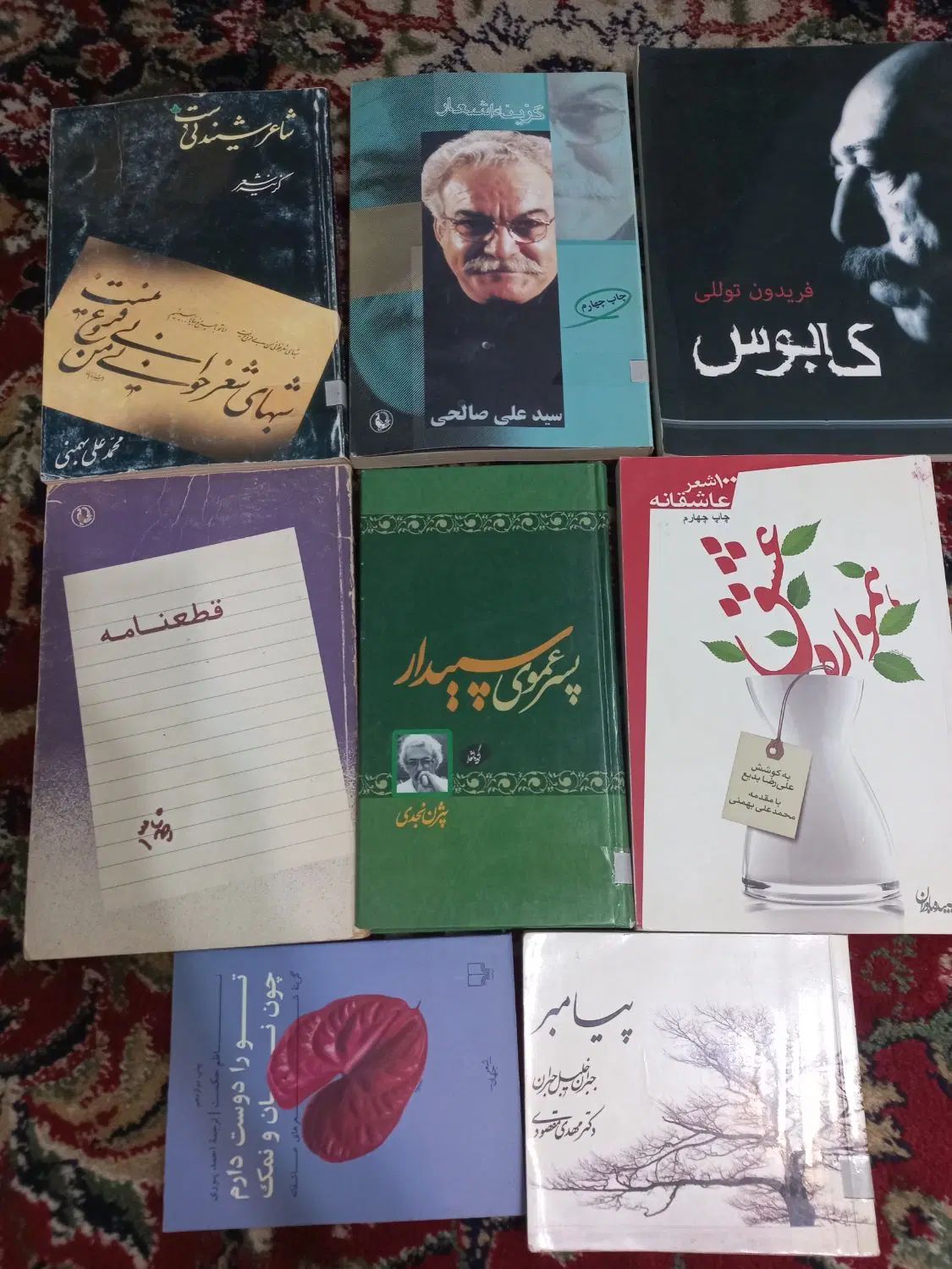 چند کتاب‌ شعر|کتاب و مجله ادبی|تهران, حسین‌آباد|دیوار