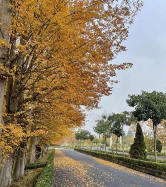 فروش آپارتمان شهرک پزشکان آمارو ..دهکده گیل کاپو|فروش آپارتمان|رشت, لاکان شهر|دیوار