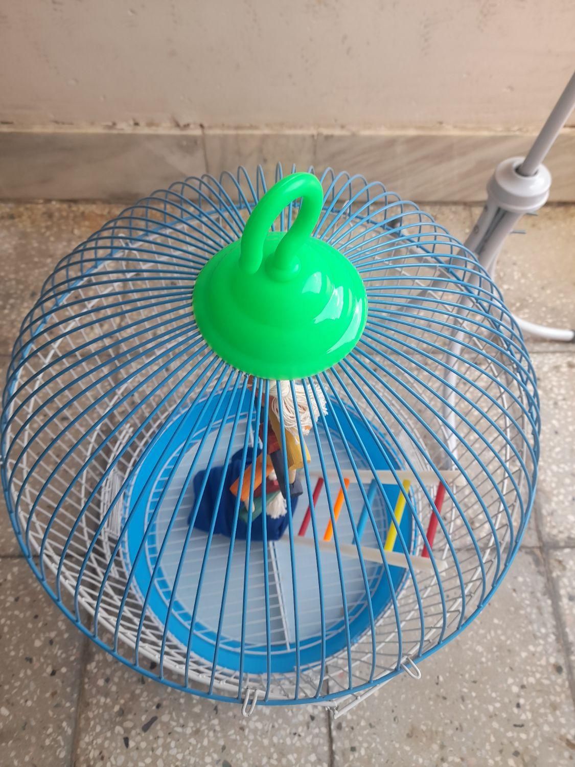 قفس آویز پرنده|لوازم جانبی حیوانات|قائن, |دیوار