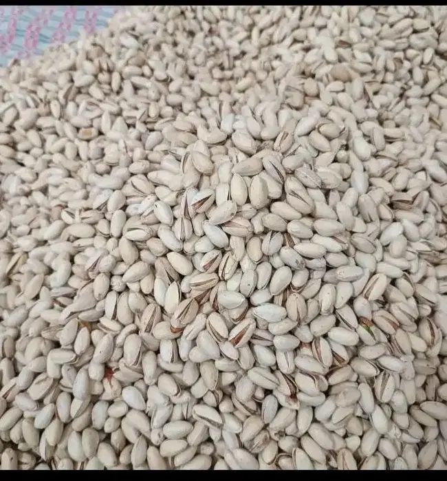 پسته|خوردنی و آشامیدنی|مشهد, پورسینا|دیوار