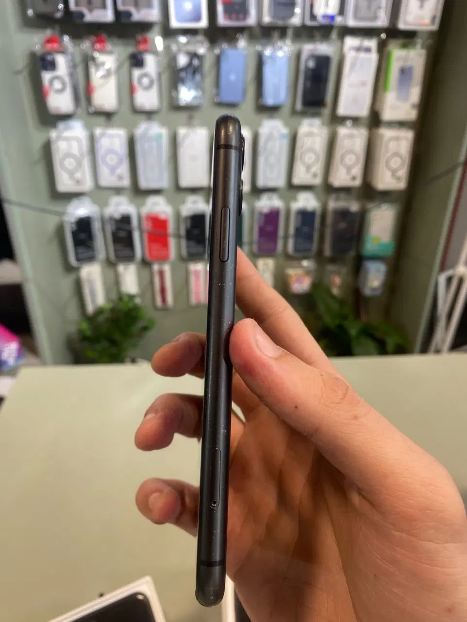 Iphone 11|موبایل|رشت, لاکانی|دیوار