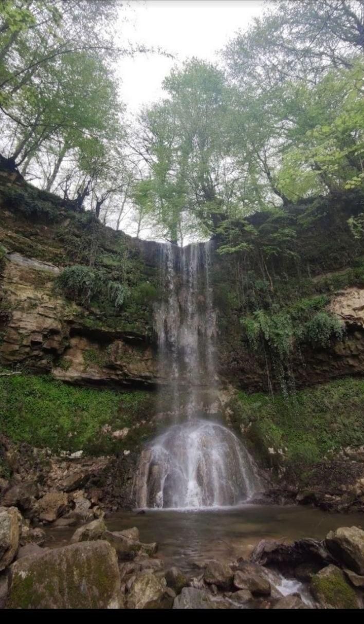 اجاره ویلا منطقه لفور|اجارهٔ کوتاه‌مدت ویلا و باغ|شیرگاه, |دیوار