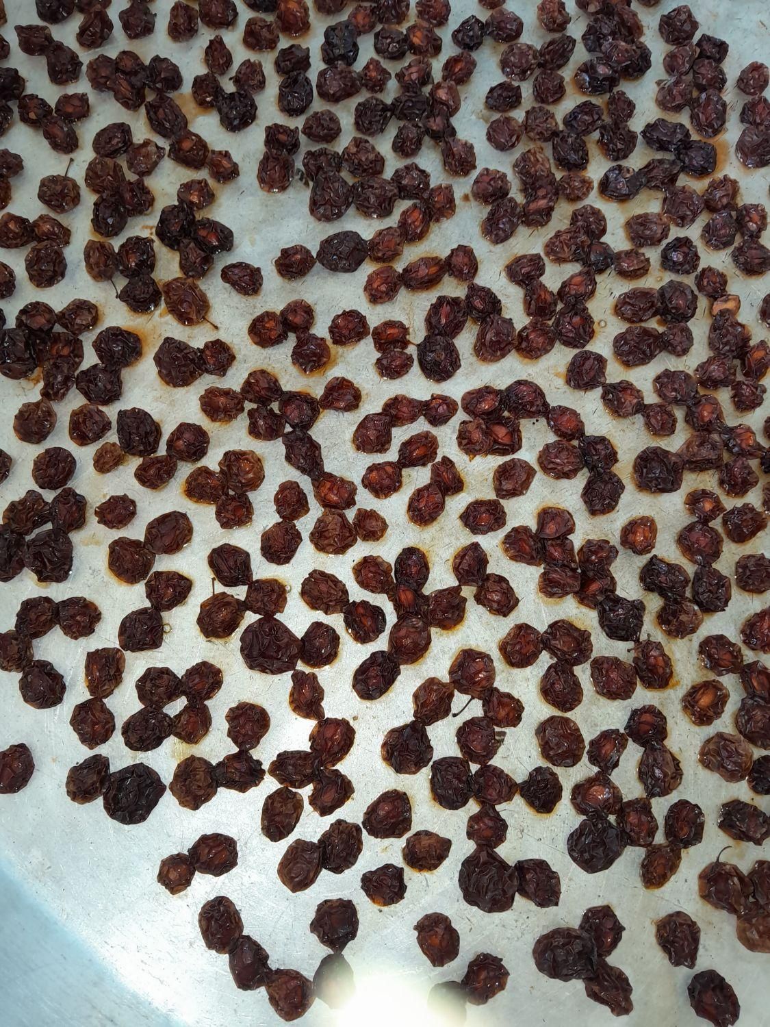 الوچه خشک|خوردنی و آشامیدنی|شفت, |دیوار