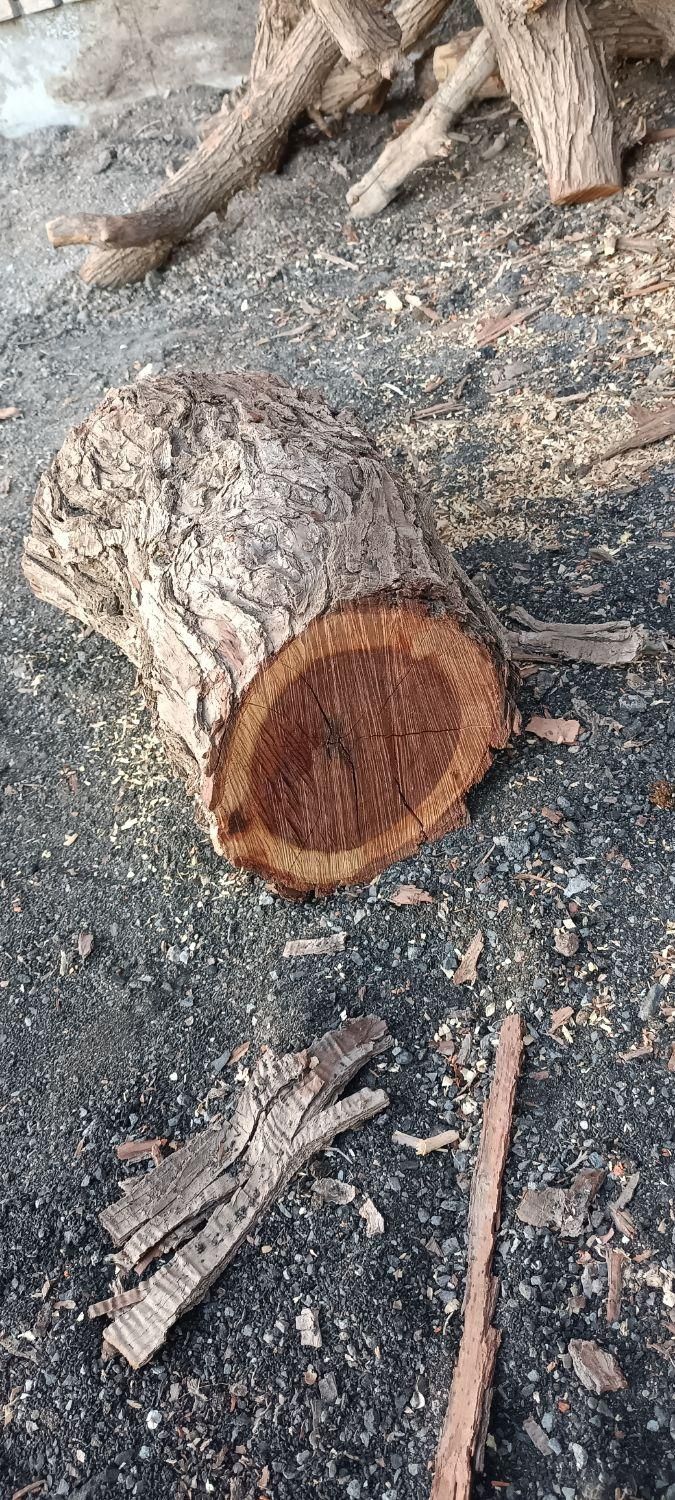 خریدار چوب باغی|خدمات باغبانی و درختکاری|بیرجند, |دیوار