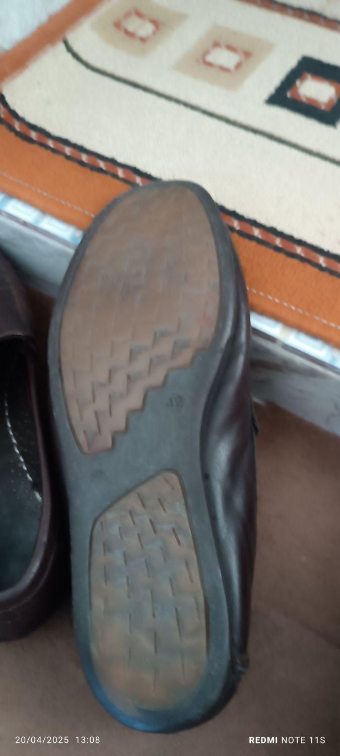 کفش چرم|کیف، کفش، کمربند|کبودرآهنگ, |دیوار