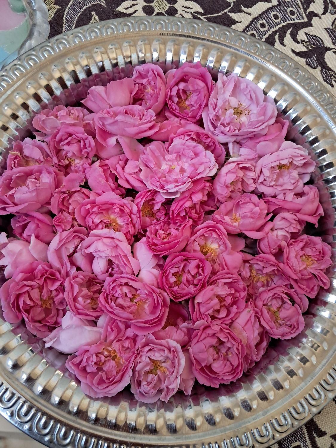 سرگرمی  و فراغت|کلکسیون و سرگرمی|اردکان, |دیوار