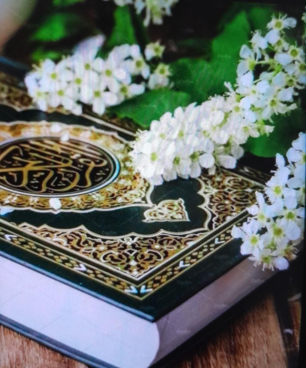 آیه الکرسی|کتاب و مجله مذهبی|خوانسار, |دیوار