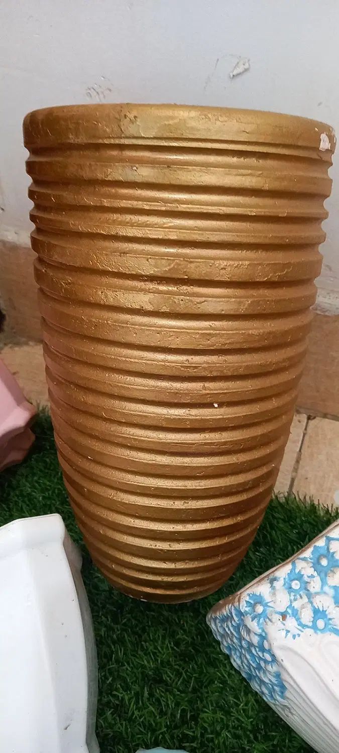 گلدان های سالم|گل و گیاه طبیعی|رشت, حمیدیان|دیوار