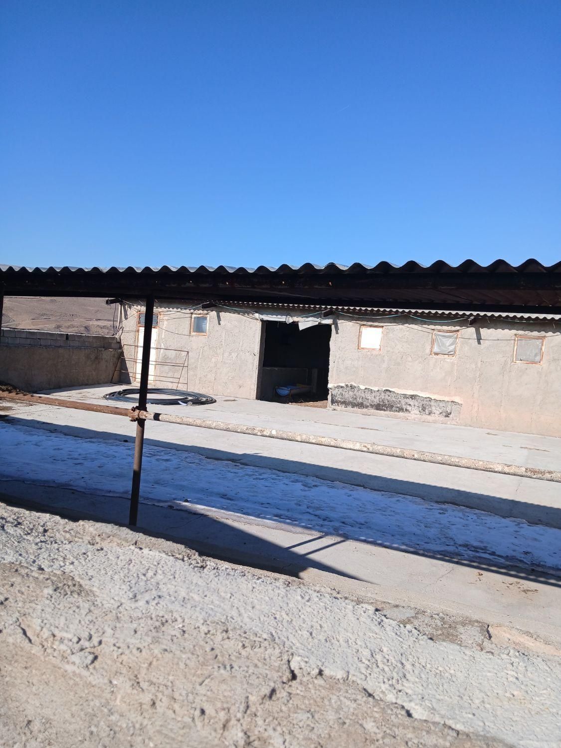 فروش گاوداری بر جاده خواجه ورزقان ۷۰۰۰ متری|فروش دفتر صنعتی، کشاورزی، تجاری|اهر, |دیوار