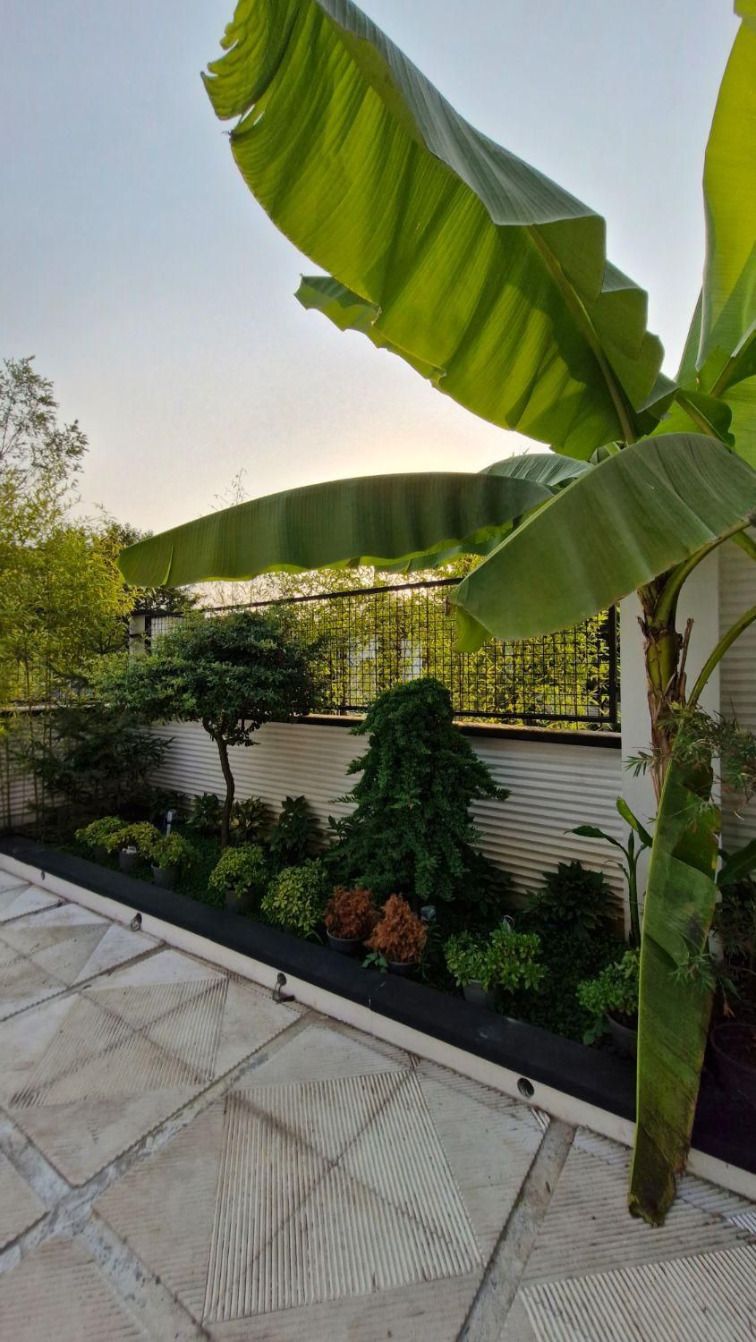 فروش ویلا استخر دار - محدوده نشتارود عباس آباد|فروش خانه و ویلا|نشتارود, |دیوار