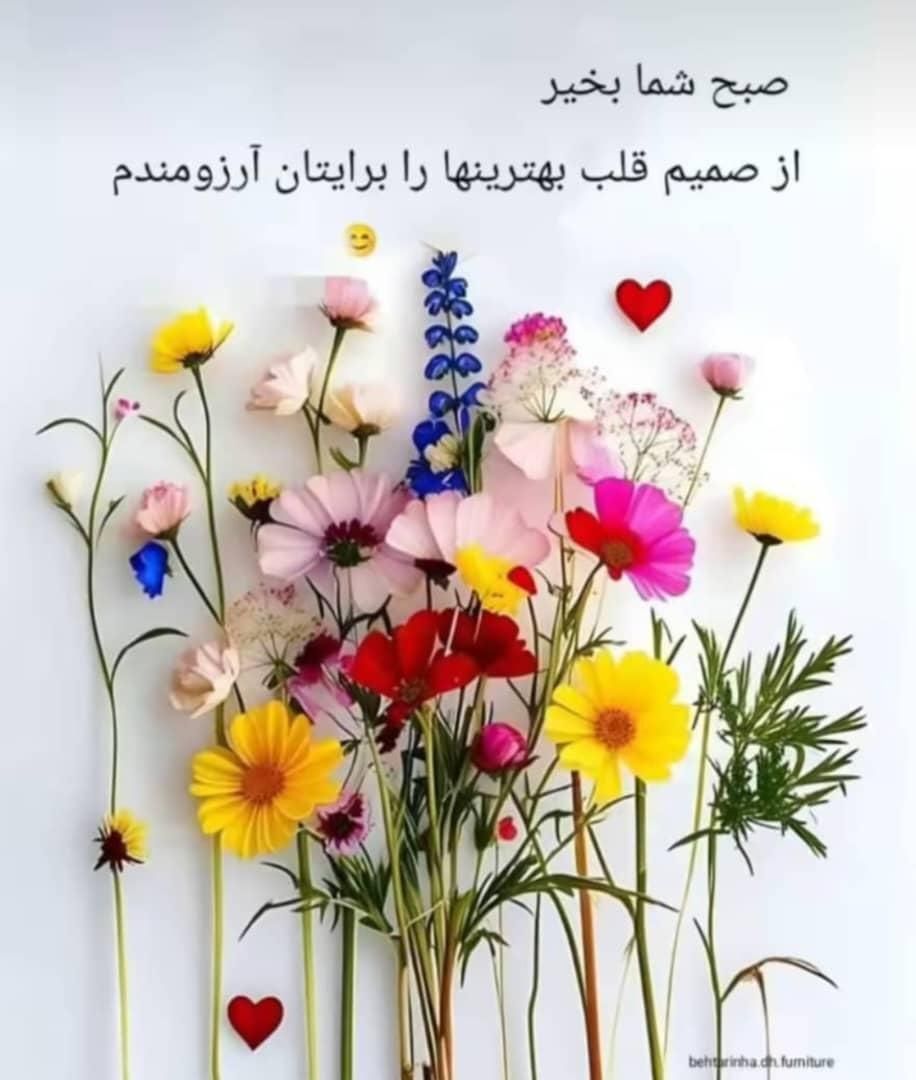 ضامن وام ازدواج میشوم|خدمات مالی، حسابداری، بیمه|مشهد, آبکوه|دیوار