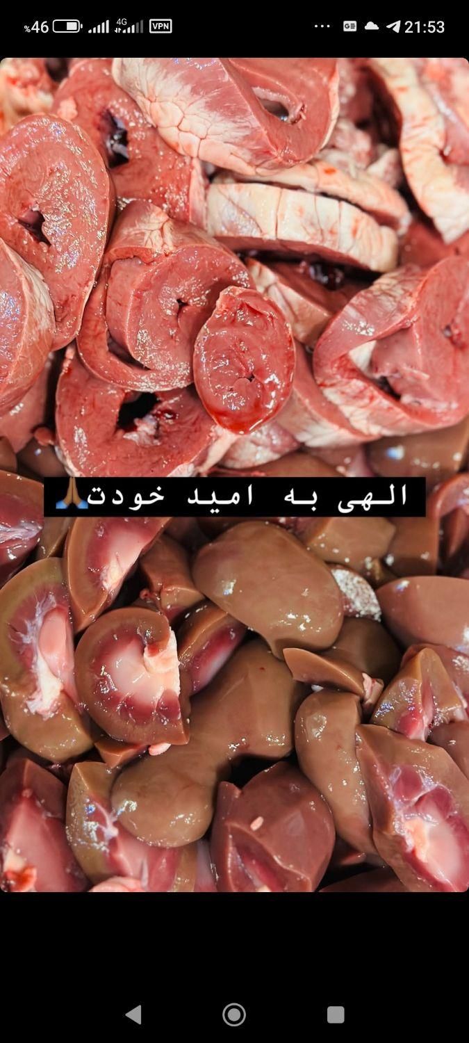 شریک جگری|استخدام مالی، حسابداری، حقوقی|همدان, |دیوار