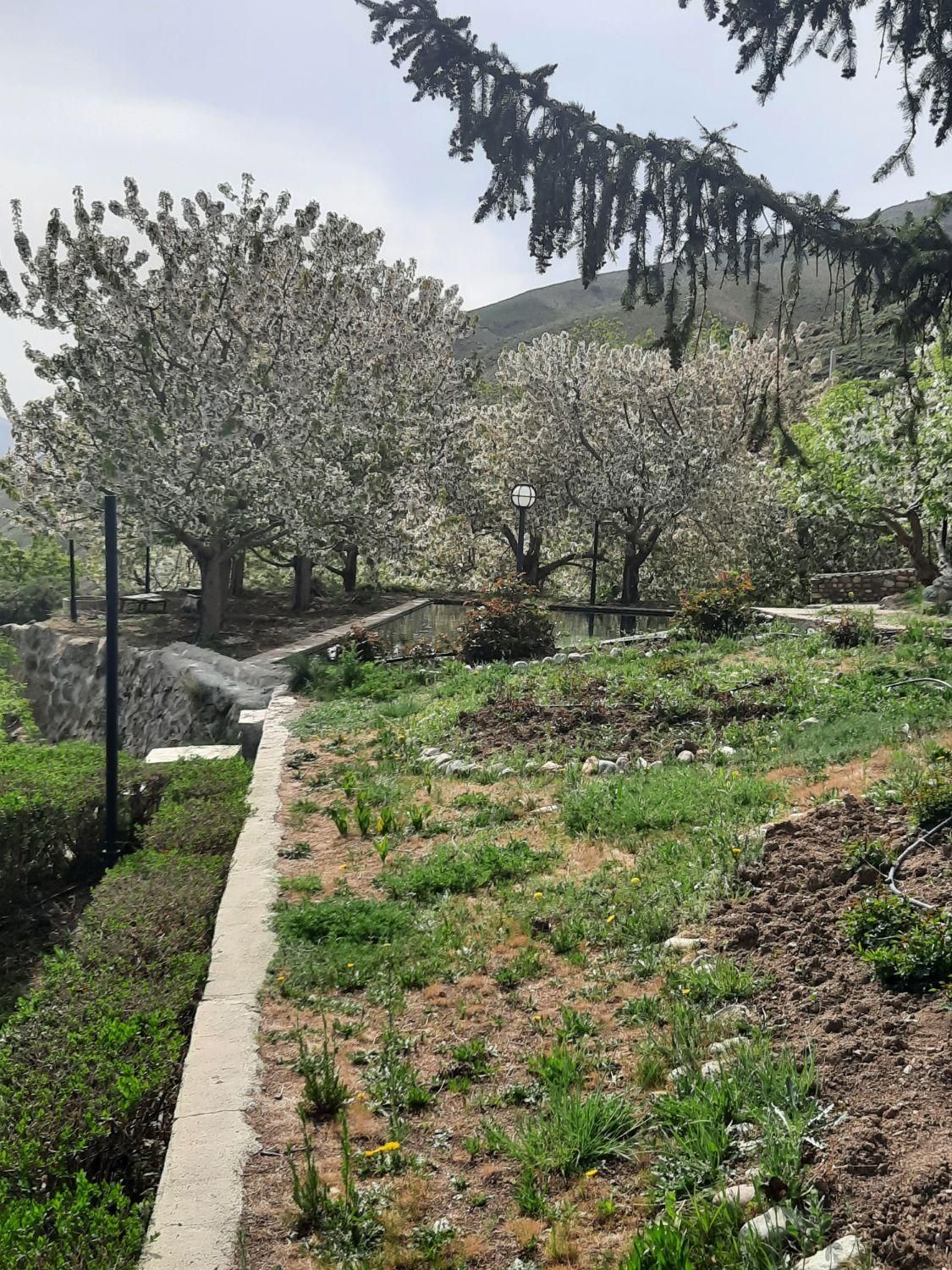 فروش ۵۰۰متری لواسان|فروش خانه و ویلا|لواسان, |دیوار