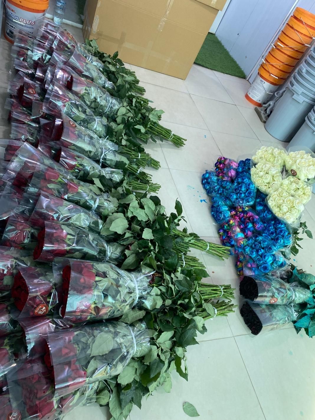 پخش عمده رز هلندی|گل و گیاه طبیعی|شیراز, باغ تخت|دیوار