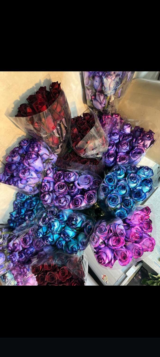 گل رز طبیعی ونرگس|گل و گیاه طبیعی|بندرعباس, |دیوار