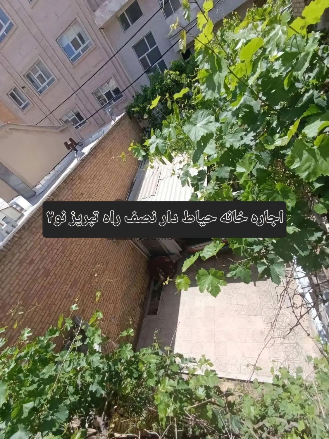 اجاره خانه حیاط دار نصف راه در کوی تبریز نو ۲|اجارهٔ خانه و ویلا|تبریز, |دیوار
