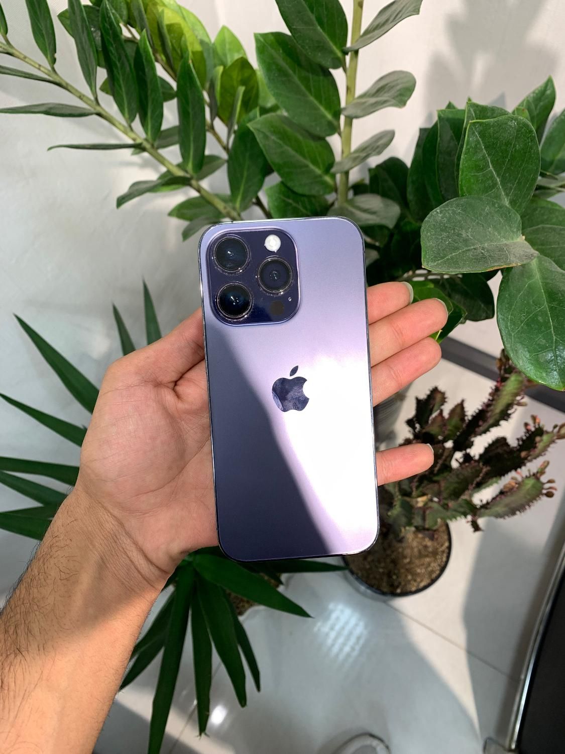 iPhone 14pro|موبایل|مشهد, احمدآباد|دیوار