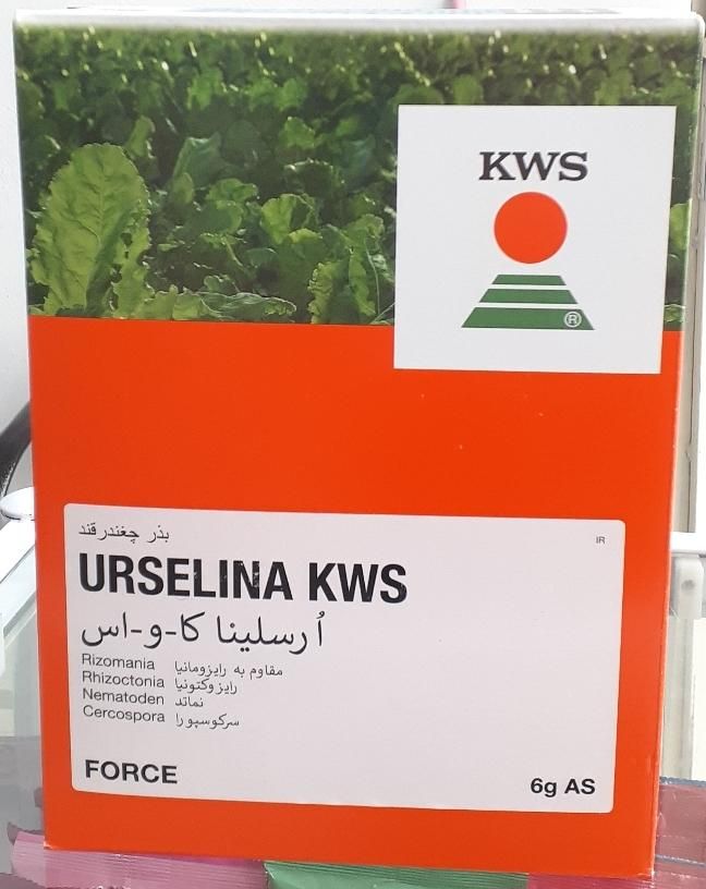 بذر چغندرقند وارداتی و داخلی تضمینی|عمدهفروشی|بیستون, |دیوار