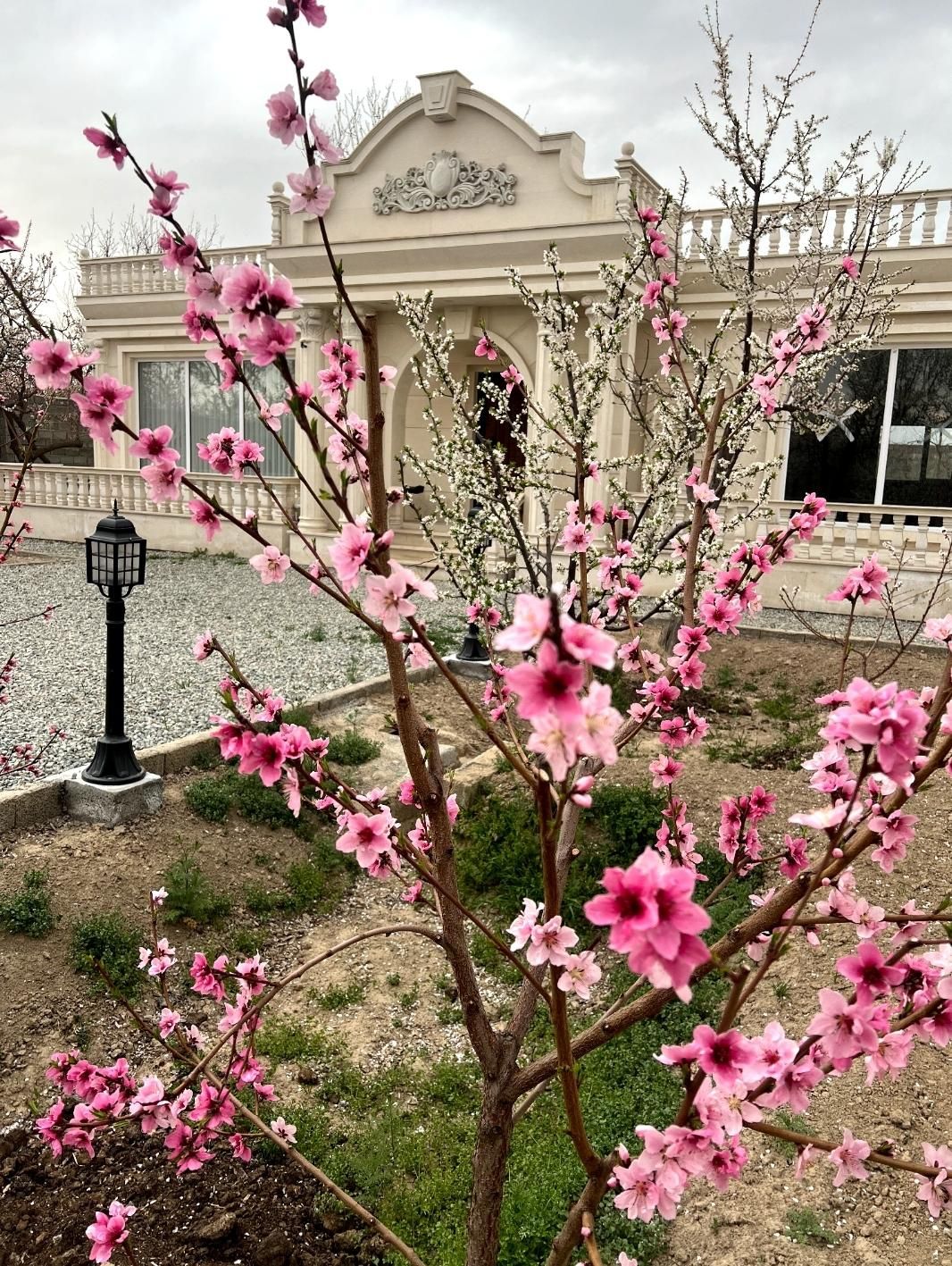 فروش باغ ویلا ۱۵۰۰ متری، فردوسیه،شهریار|فروش خانه و ویلا|فردوسیه, |دیوار