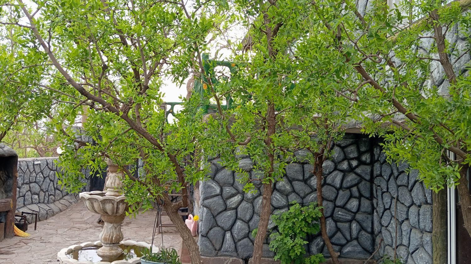 تصویر 19