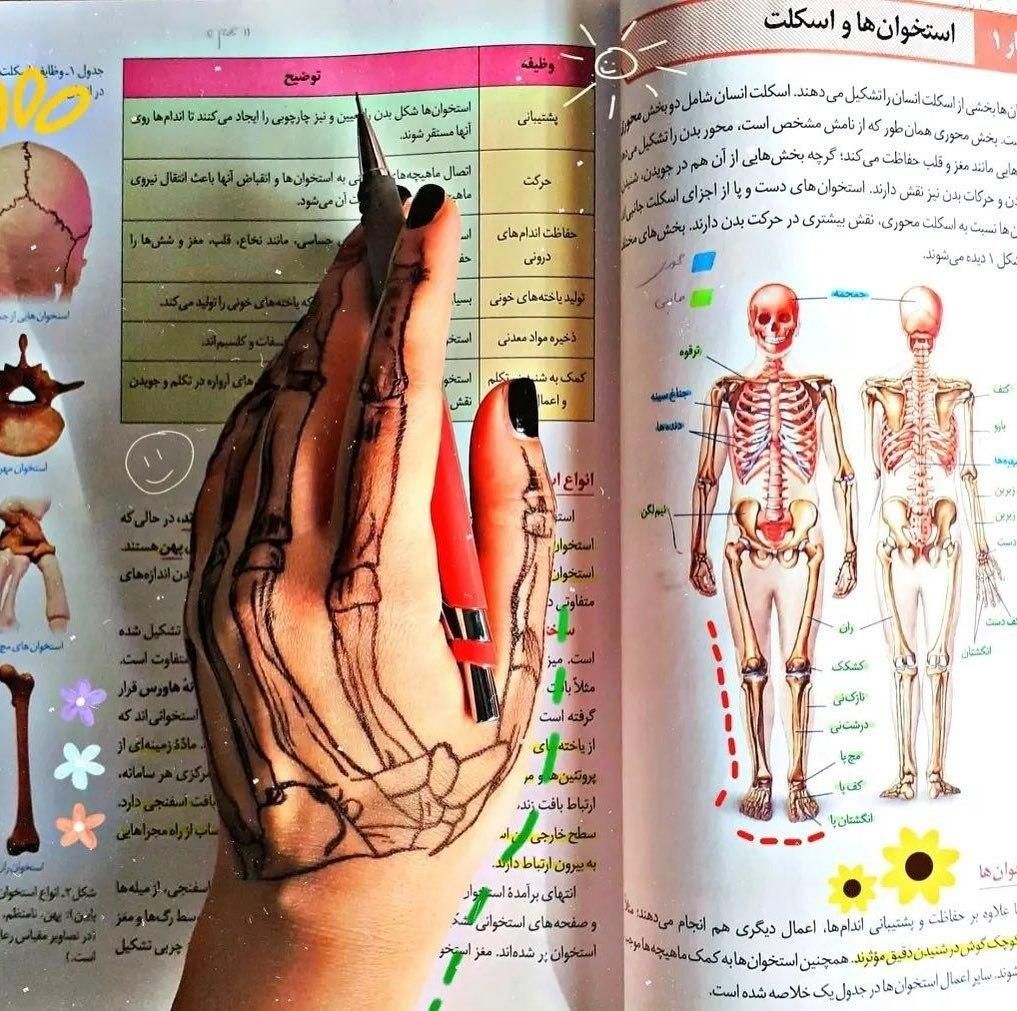 مشاوره کنکور تجربی|خدمات آموزشی|تهران, جردن|دیوار