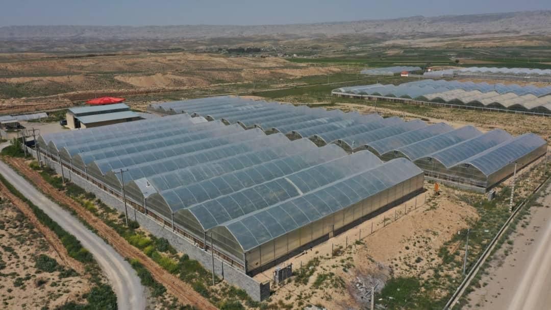 فروش گلخانه میوه های استوایی در خراسان شمالی|فروش دفتر صنعتی، کشاورزی، تجاری|آشخانه, |دیوار