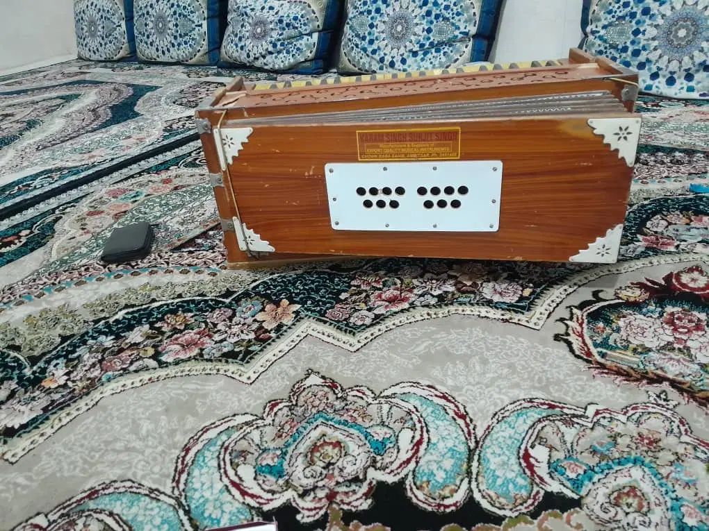 هارمونیه کرتار سینگ صدای دل نشین در حد نو|پیانو، کیبورد، آکاردئون|کهریزک, |دیوار