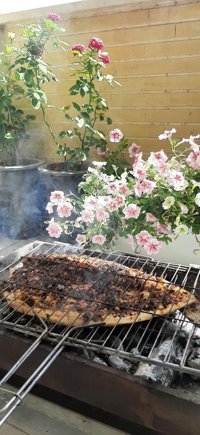 ترشی مغربی و سبزیهای  جنوبی|خوردنی و آشامیدنی|اصفهان, خواجو|دیوار