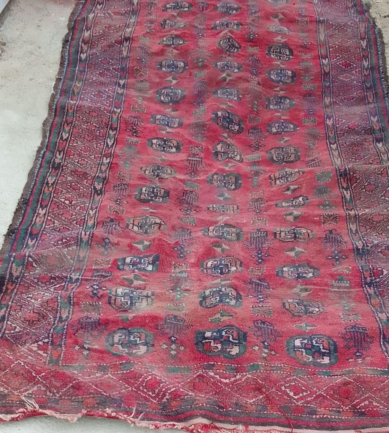 فروش فرش دست بافت|فرش|زابل, |دیوار