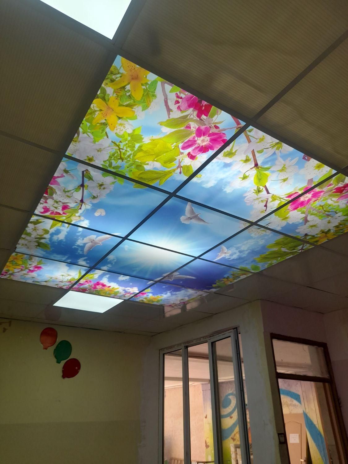 کناف.سقف کاذب .آسمان مجازی.تخفیف ویژه|خدمات پیشه و مهارت|پاکدشت, پاکدشت (مامازند)|دیوار