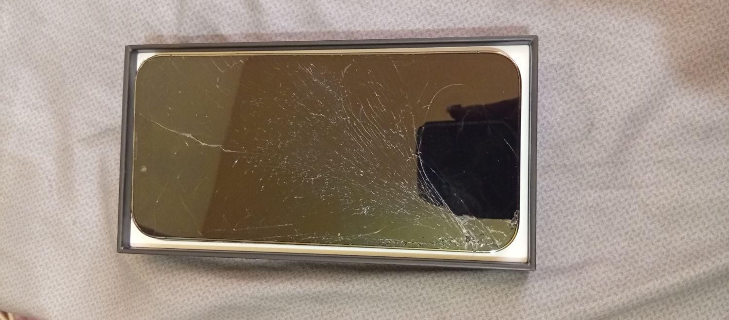 اپل iPhone 13 Pro Max با حافظهٔ ۲۵۶ گیگابایت|موبایل|شیراز, قالیشویی|دیوار