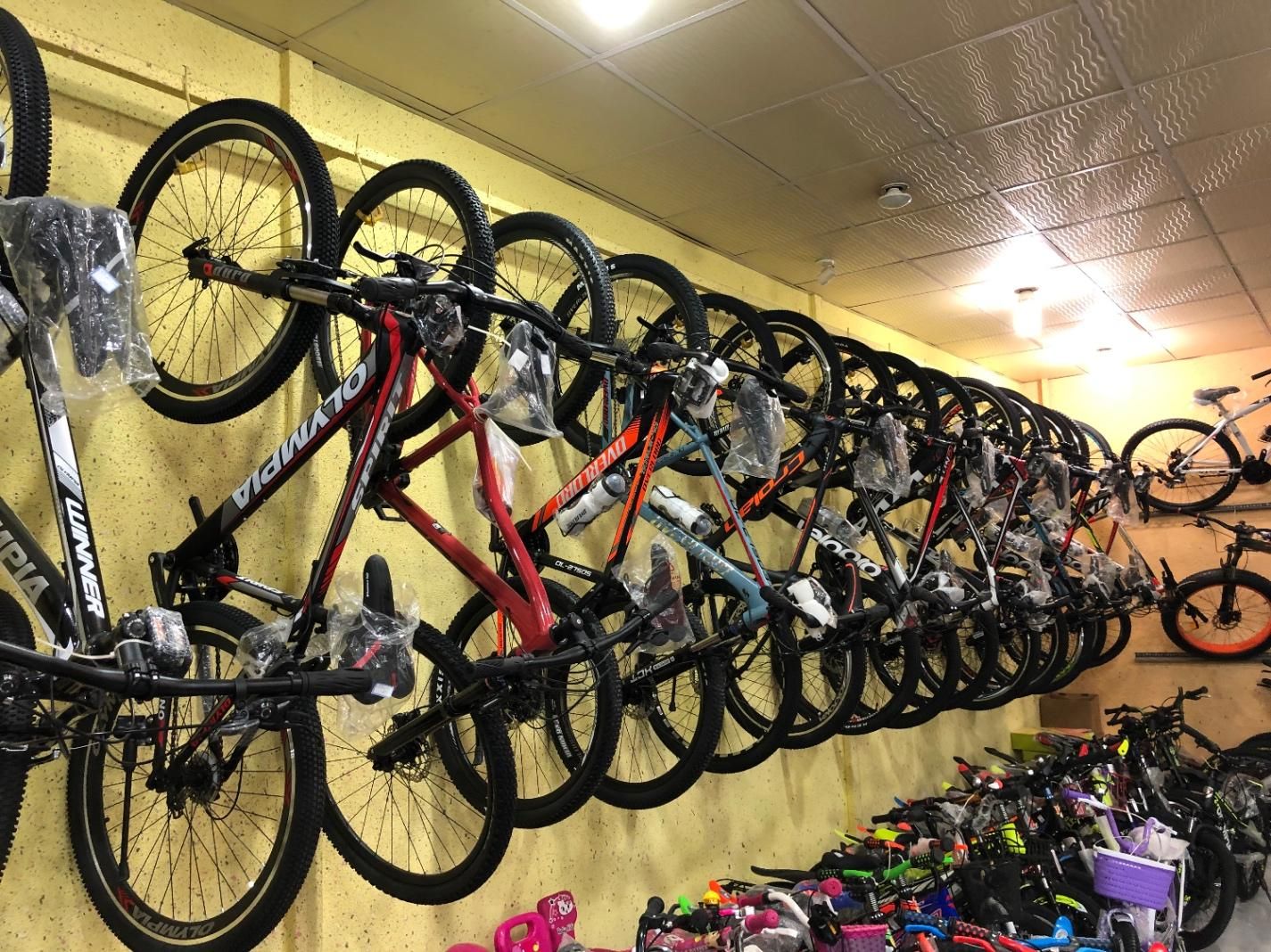 فروش انواع دوچرخه بیش از ۱۰۰ مدل|دوچرخه، اسکیت، اسکوتر|بوشهر, |دیوار