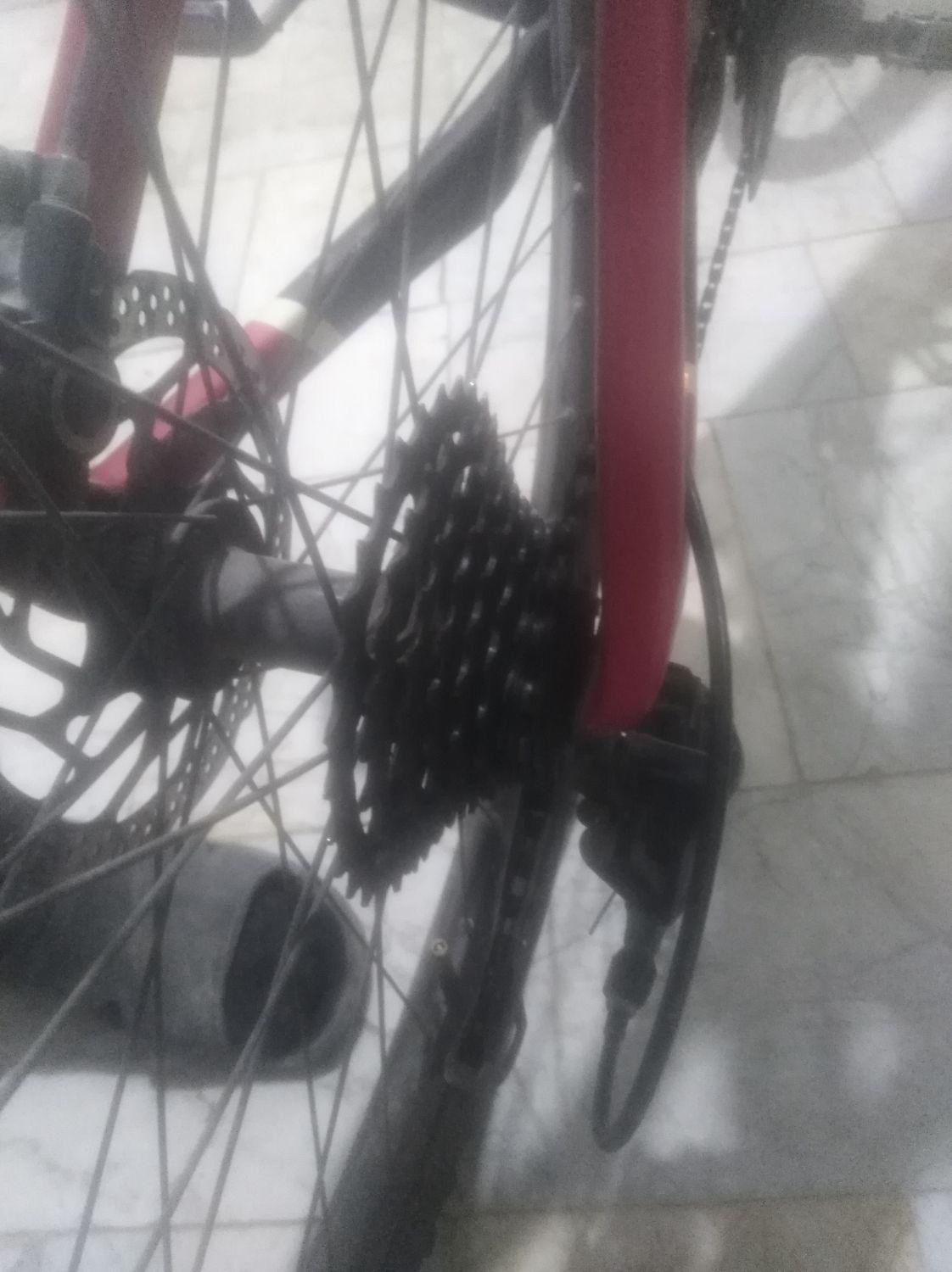 دوچرخه کربن ویوا ترمز دیسکی هیدرولیک روغنی|دوچرخه، اسکیت، اسکوتر|پاکدشت, پاکدشت (مامازند)|دیوار