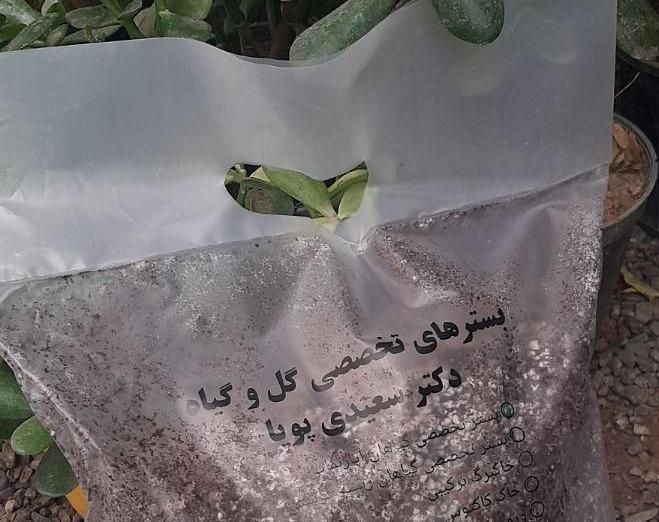 خاک تخصصی گیاهان اپارتمانی دکتر سعیدی پویا|گل و گیاه طبیعی|سبزوار, دانشگاه آزاد|دیوار