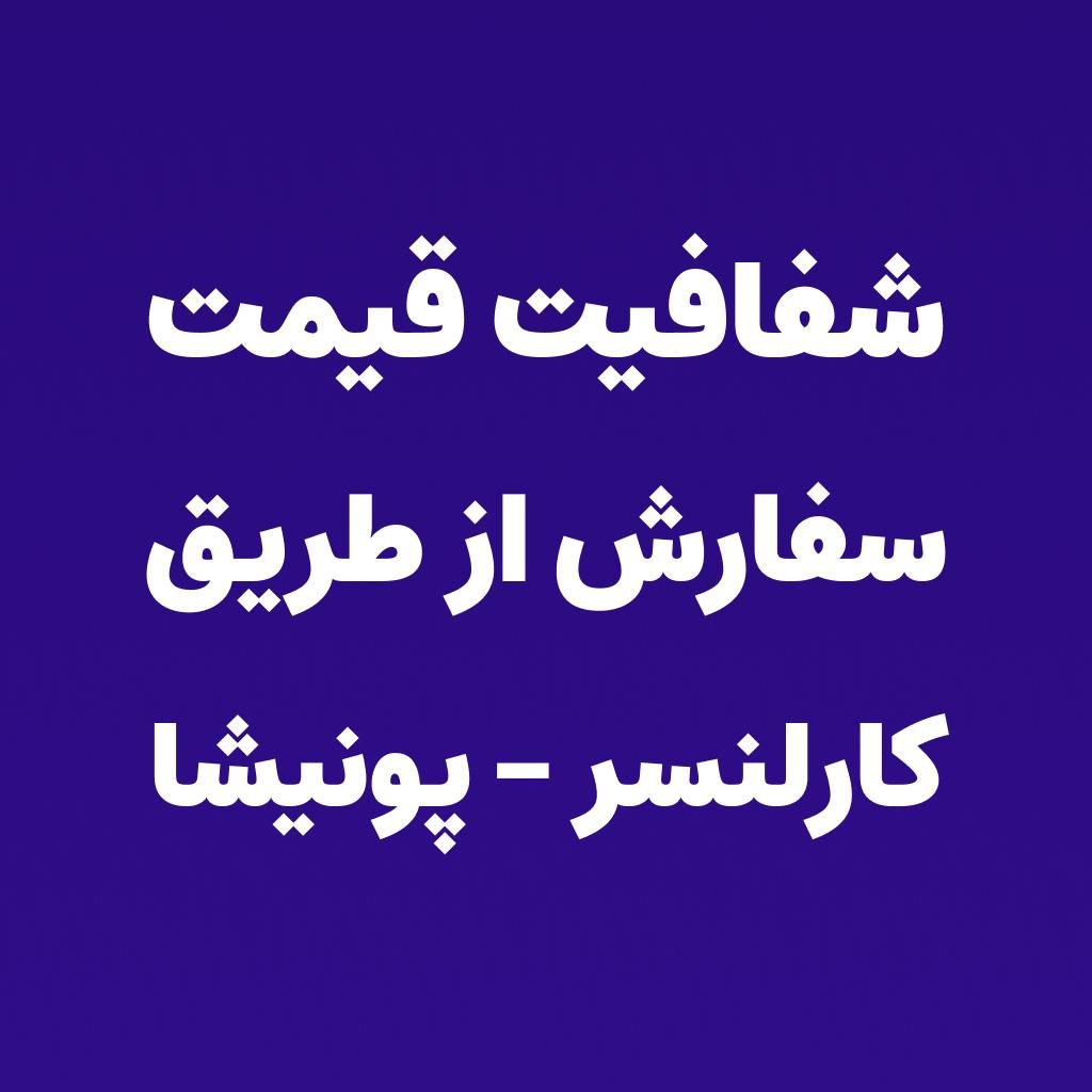 خدمات برنامه نویسی پلاگین وردپرس ووکامرس|خدمات رایانه‌ای و موبایل|کاشان, |دیوار