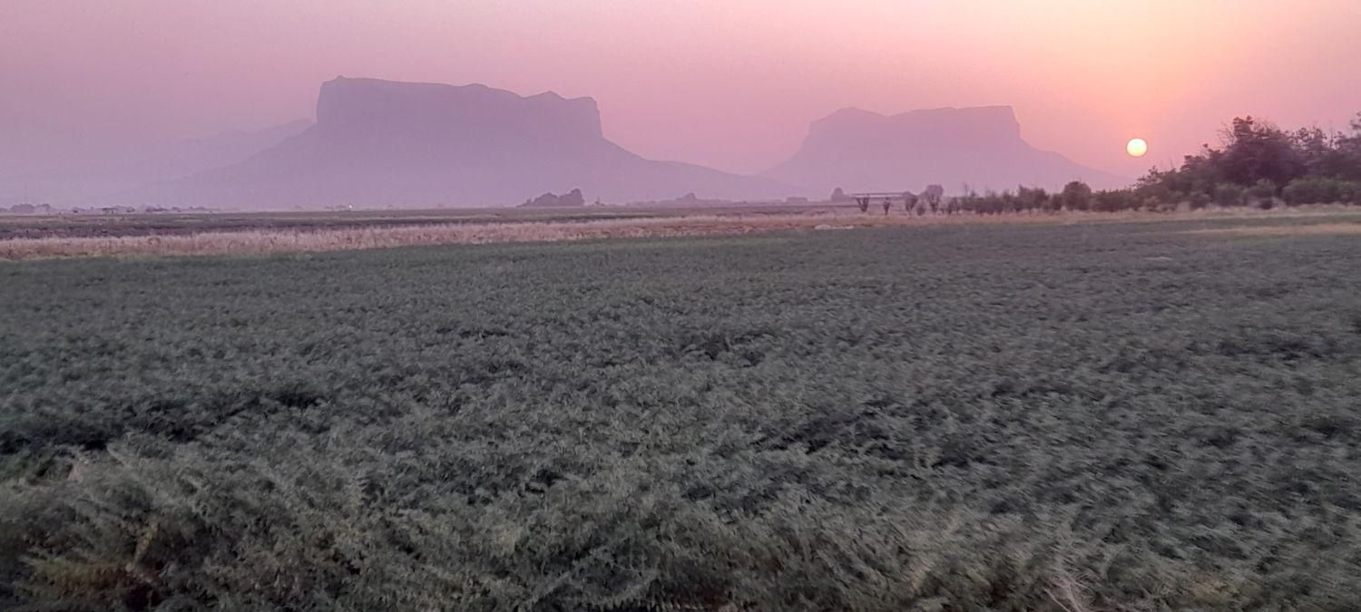 فروش زمین ۳۰۰۰ متری در نقش رستم|فروش زمین و ملک کلنگی|مرودشت, نقش رستم|دیوار