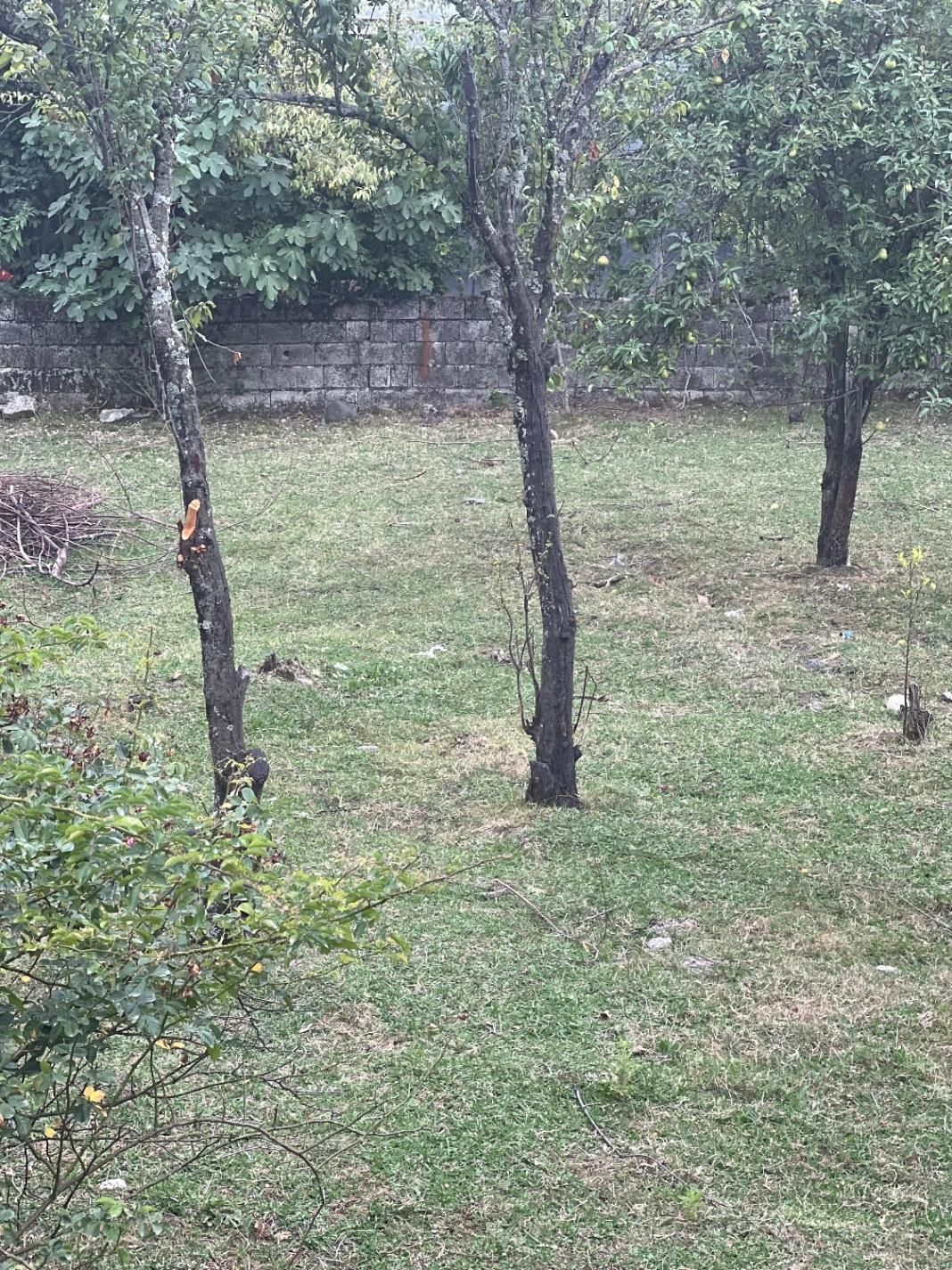 زمین مسکونی250متری  رضوان رودبارسرای بالا برجاده ر|فروش زمین و ملک کلنگی|رضوانشهر, |دیوار