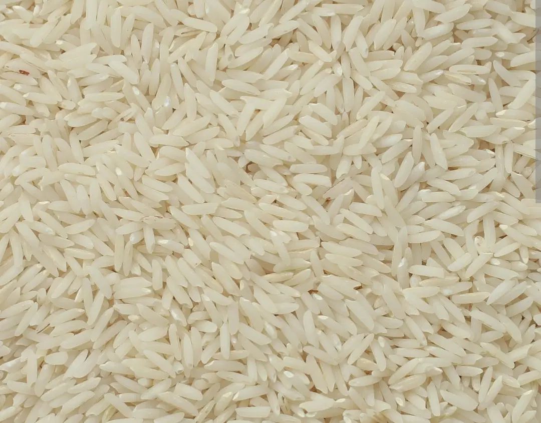برنج هاشمی و صدری|خوردنی و آشامیدنی|تهران, سلسبیل جنوبی|دیوار