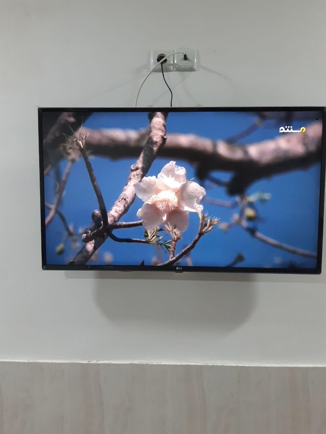 تلویزیون led ۴۳ اینچ ال جی|تلویزیون و پروژکتور|گناباد, |دیوار