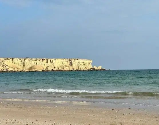 فروش یا معاوضه واحد قشم با زمین در رفسنجان|فروش آپارتمان|رفسنجان, |دیوار