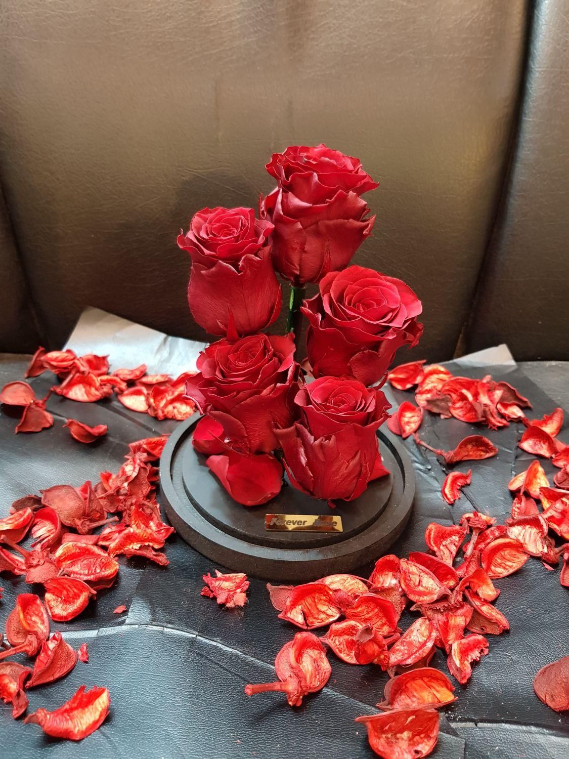 هدیه باکس گل رز جاودان طرح دیو و دلبر|گل و گیاه طبیعی|تهران, فردوسی|دیوار