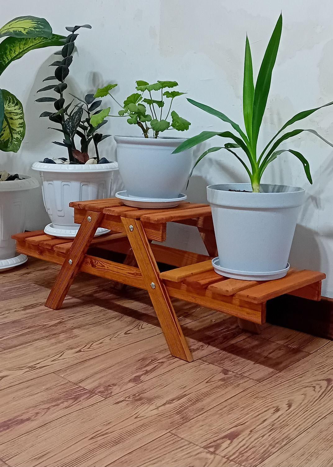 استند گلدان|گل و گیاه طبیعی|پاکدشت, پاکدشت (مامازند)|دیوار