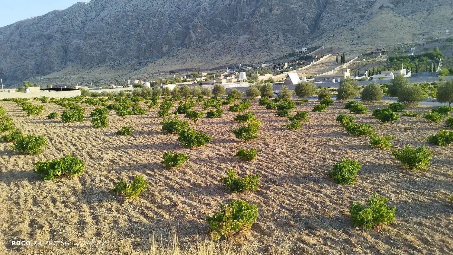 فروش باغ ۲۸۰۰ متری واقع در شیراز شهرستان زرقان|فروش زمین و ملک کلنگی|زرقان, |دیوار