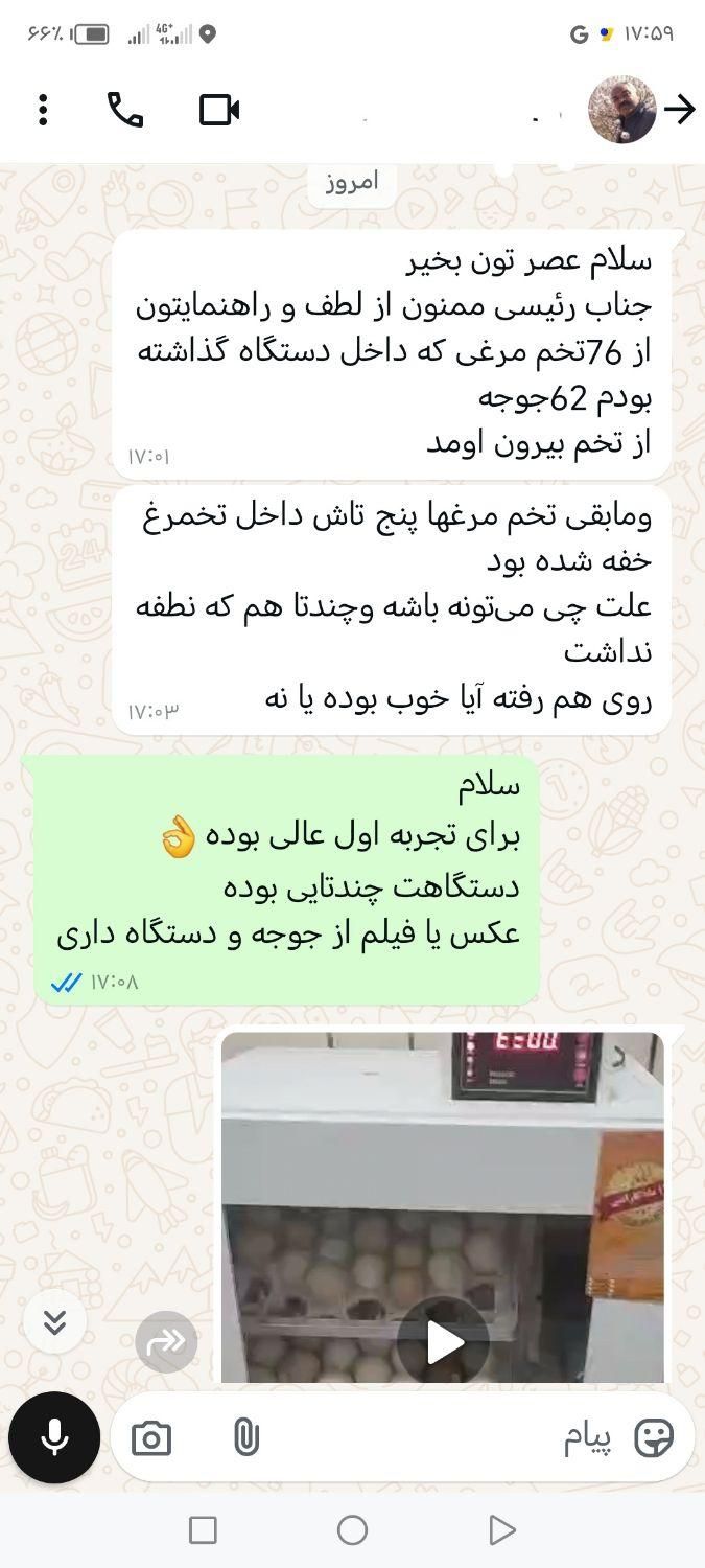جوجه کشی مدل T25|لوازم جانبی حیوانات|شیراز, کوشک میدان|دیوار