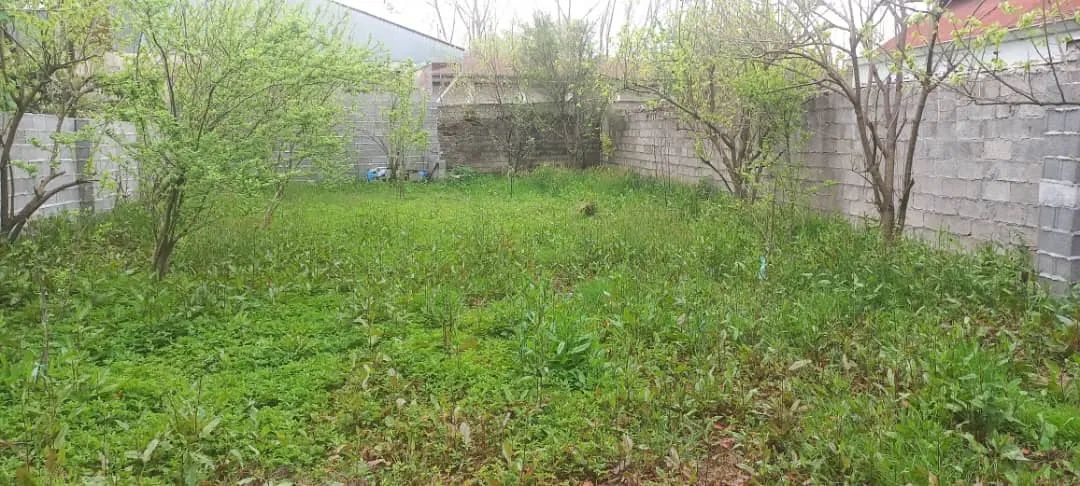 فروش ۲۹۱ متر زمین مسکونی در روستای منگوده. گلسار|فروش زمین و ملک کلنگی|پیربازار, |دیوار